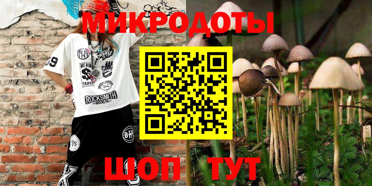 Псилоцибиновые грибы мицелий Минусинск