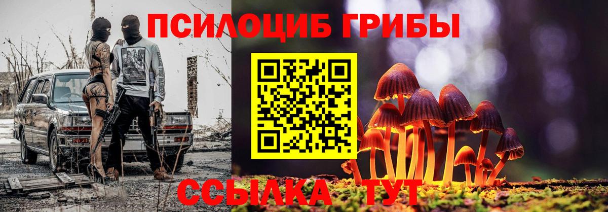 Псилоцибиновые грибы MAGIC MUSHROOMS  Вход с VPN  Минусинск  Псилоцибиновые грибы мухоморы 